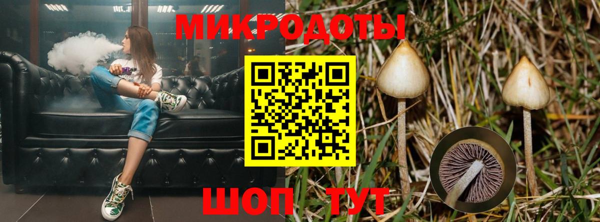 Карпинск  Псилоцибиновые грибы Cubensis  Вход с VPN 